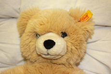 Teddy 052.jpg